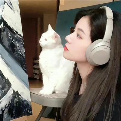 维也纳之舞
